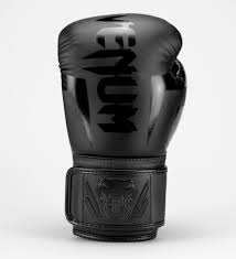 Fairtex BGV1 14oz
